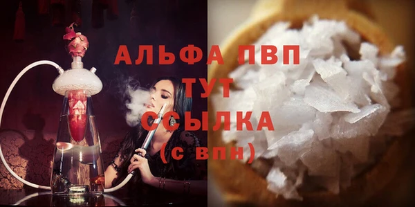 прущие грибы Балабаново