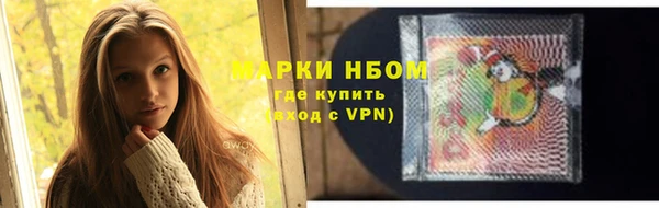 прущие грибы Балабаново