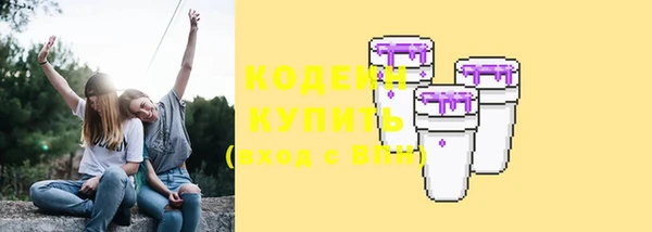 прущие грибы Балабаново