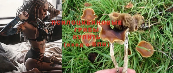 ешки Баксан