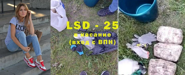 прущие грибы Балабаново
