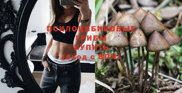 прущие грибы Балабаново