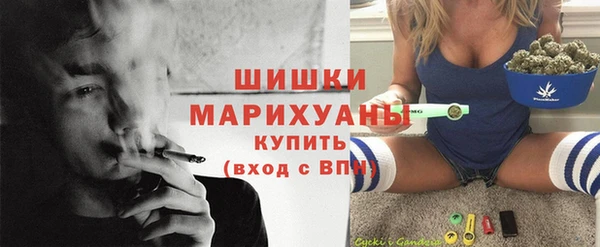 прущие грибы Балабаново