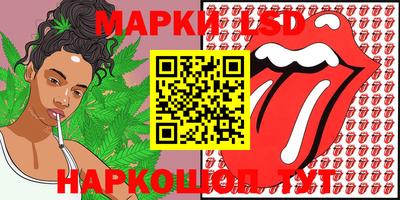 шишки Шахты