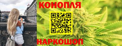 шишки Шахты