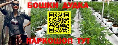 шишки Шахты