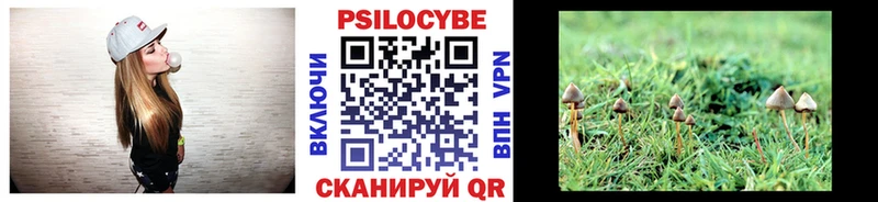 блэк спрут рабочий сайт  Балтийск  Галлюциногенные грибы Cubensis 