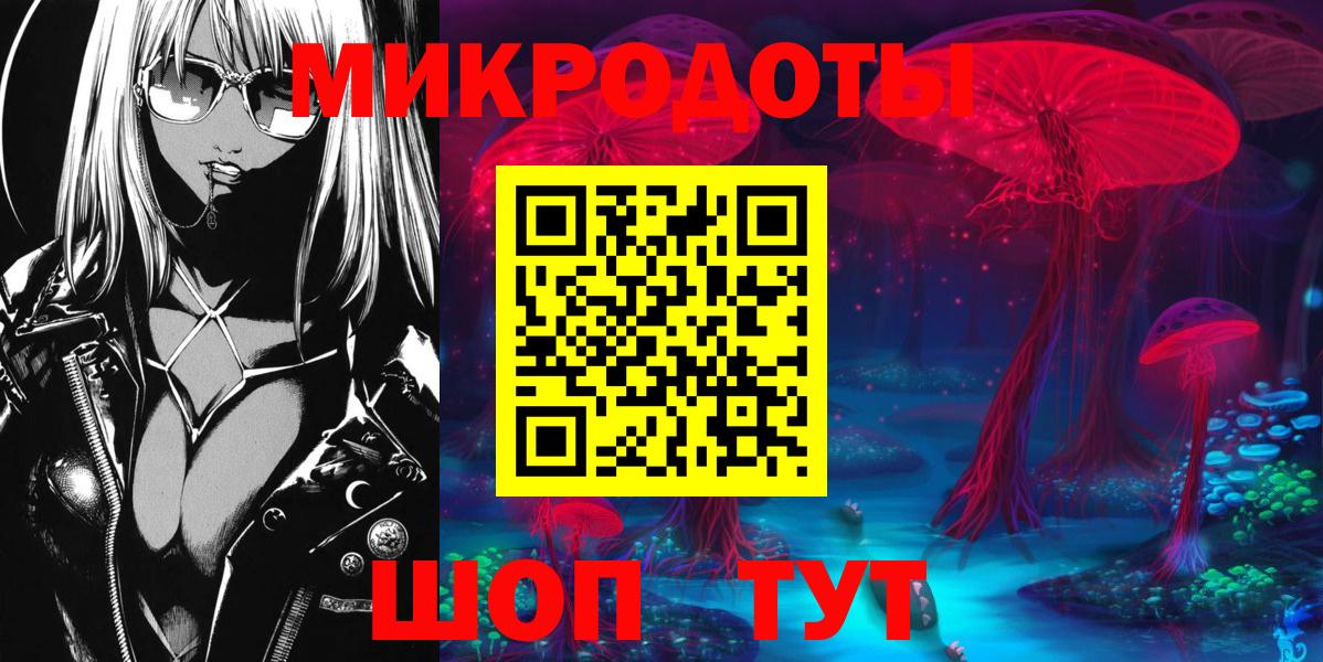 Галлюциногенные грибы Cubensis Балтийск