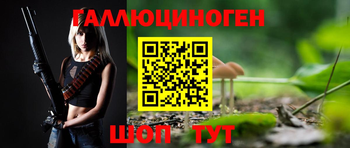 Балтийск  Псилоцибиновые грибы Cubensis  Вход с VPN 